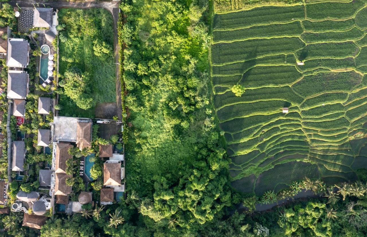 The Alena Resort A Pramana Experience Ubud  Luaran gambar