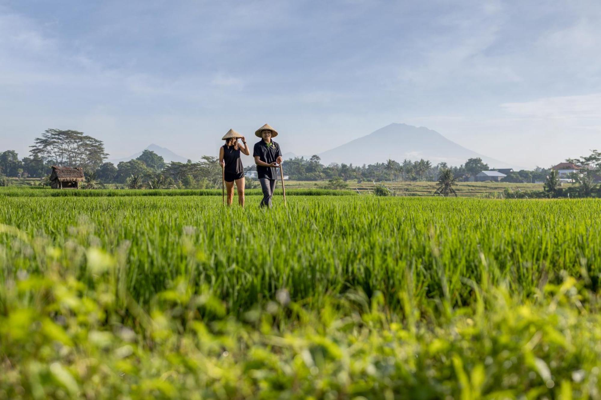 The Alena Resort A Pramana Experience Ubud  Luaran gambar
